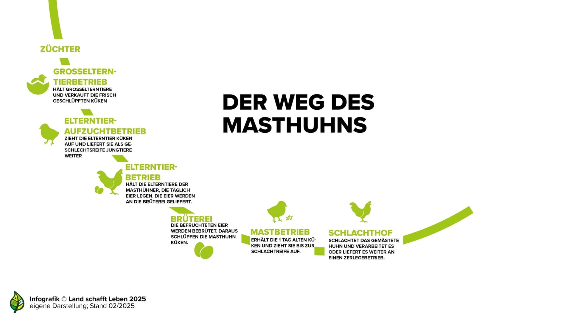 Der Weg des Masthuhns
